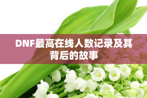DNF最高在线人数记录及其背后的故事图片