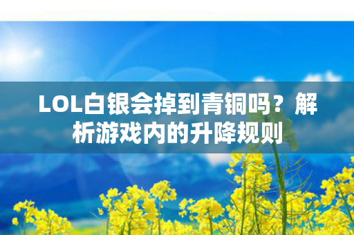 LOL白银会掉到青铜吗图片