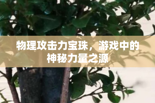 游戏中的神秘力量之源图片