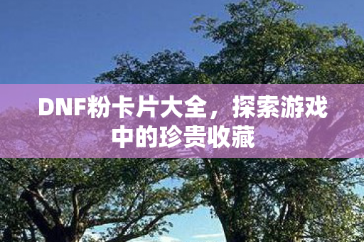 探索游戏中的珍贵收藏图片