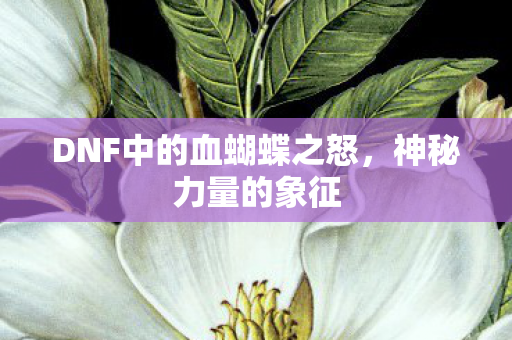 DNF中的血蝴蝶之怒图片