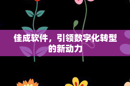 引领数字化转型的新动力图片