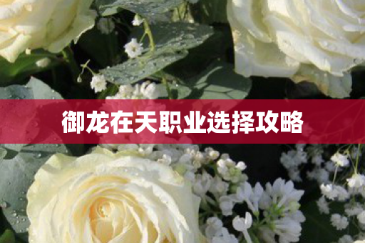 御龙在天职业选择攻略图片