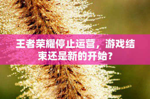 游戏结束还是新的开始图片