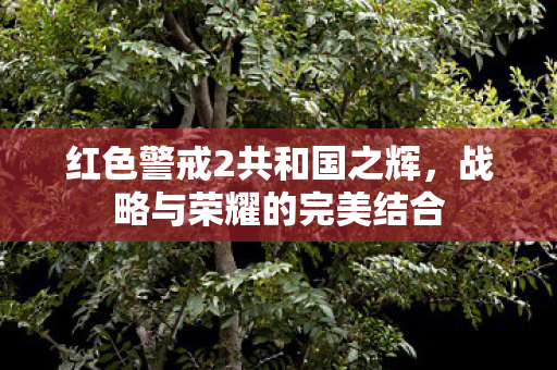 红色警戒2共和国之辉图片