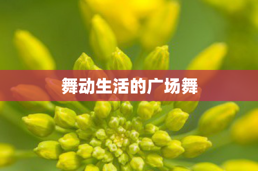 舞动生活的广场舞图片