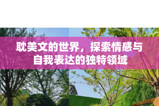 探索情感与自我表达的独特领域图片