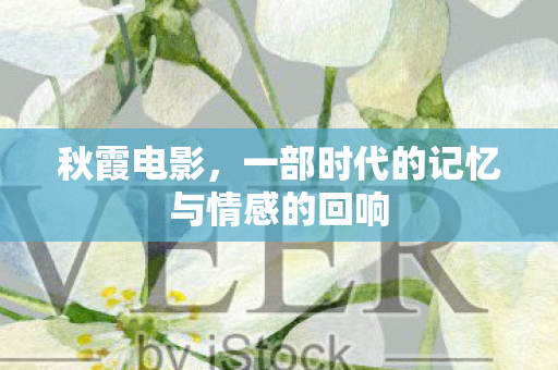 一部时代的记忆与情感的回响图片