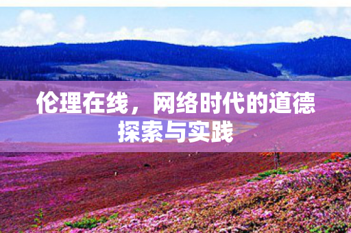 网络时代的道德探索与实践图片