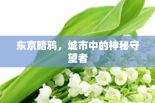 城市中的神秘守望者图片