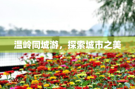 探索城市之美图片