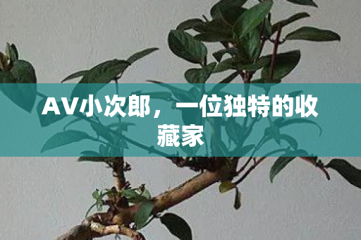 一位独特的收藏家图片