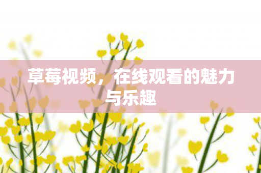 在线观看的魅力与乐趣图片