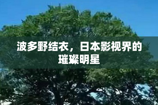 日本影视界的璀璨明星图片