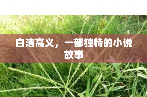 一部独特的小说故事图片