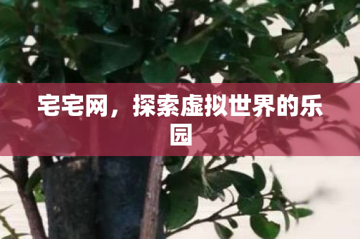 探索虚拟世界的乐园图片