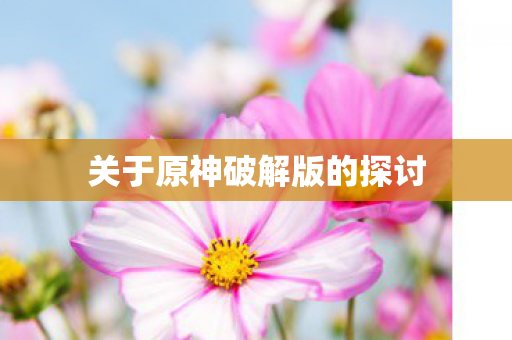 关于原神破解版的探讨图片