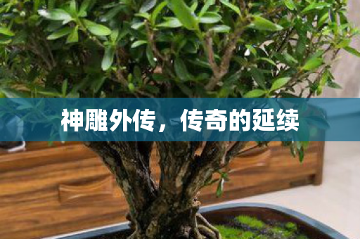 传奇的延续图片