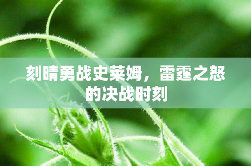 雷霆之怒的决战时刻图片