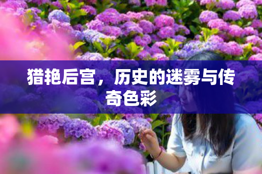 历史的迷雾与传奇色彩图片