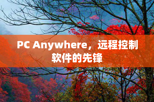 PC Anywhere图片