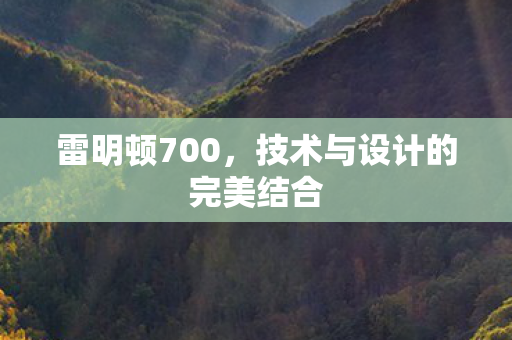 技术与设计的完美结合图片