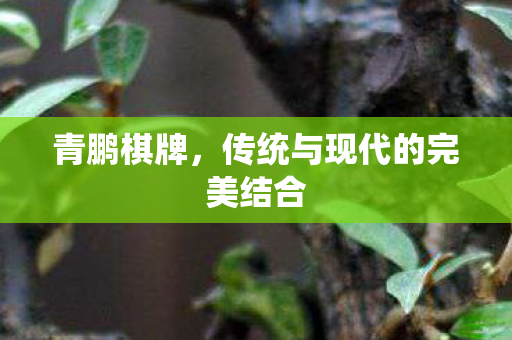 传统与现代的完美结合图片