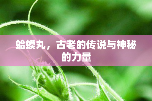 古老的传说与神秘的力量图片