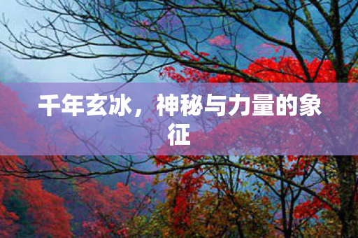 神秘与力量的象征图片