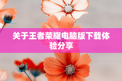 关于王者荣耀电脑版下载体验分享图片