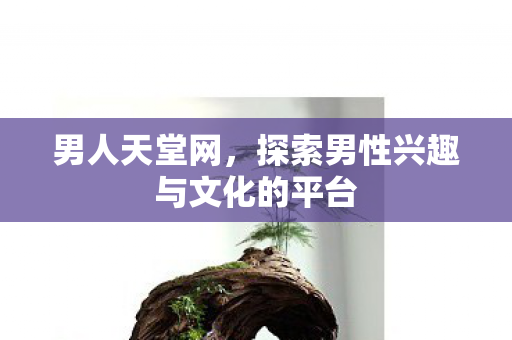 探索男性兴趣与文化的平台图片