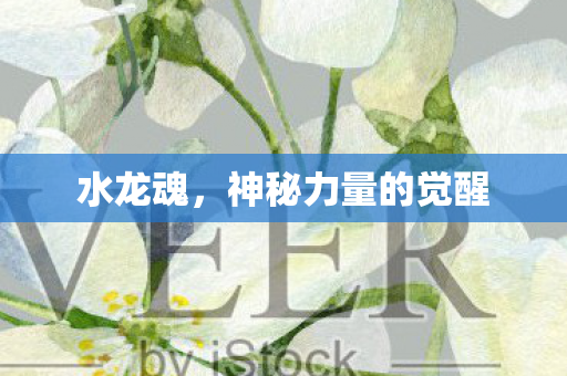 神秘力量的觉醒图片