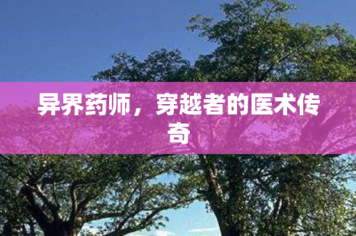 穿越者的医术传奇图片