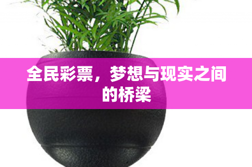 梦想与现实之间的桥梁图片