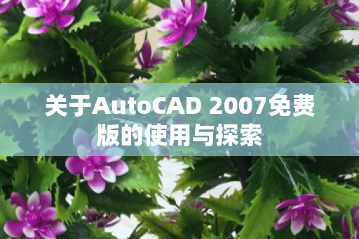 关于AutoCAD 2007免费版的使用与探索图片
