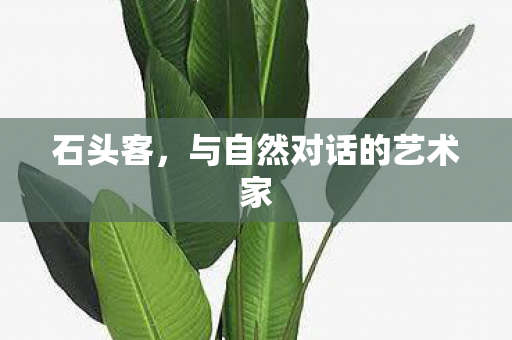 与自然对话的艺术家图片