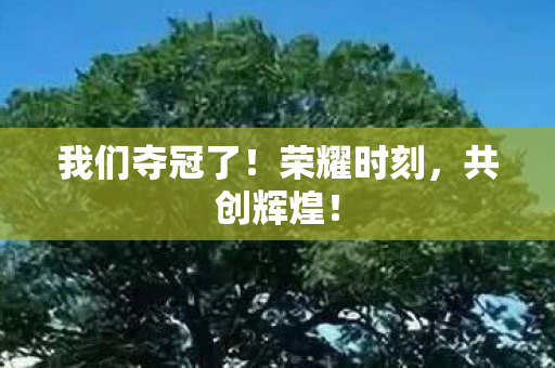 我们夺冠了图片