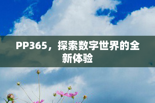 探索数字世界的全新体验图片