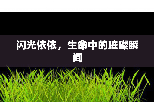 生命中的璀璨瞬间图片