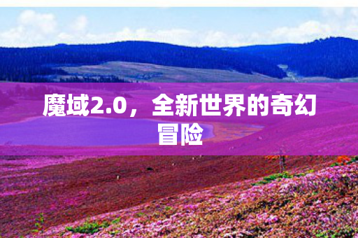 全新世界的奇幻冒险图片