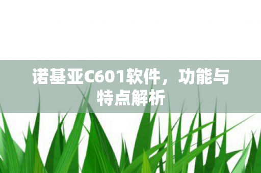 诺基亚C601软件图片