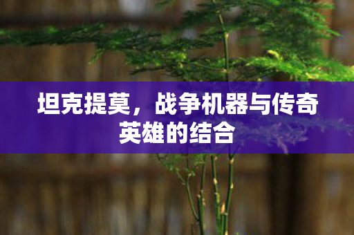 战争机器与传奇英雄的结合图片