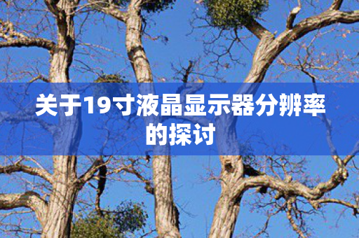关于19寸液晶显示器分辨率的探讨图片