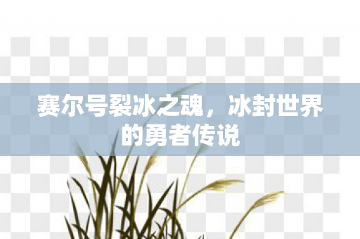 冰封世界的勇者传说图片