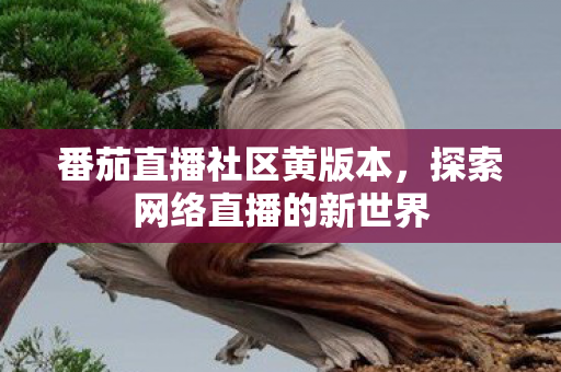 探索网络直播的新世界图片