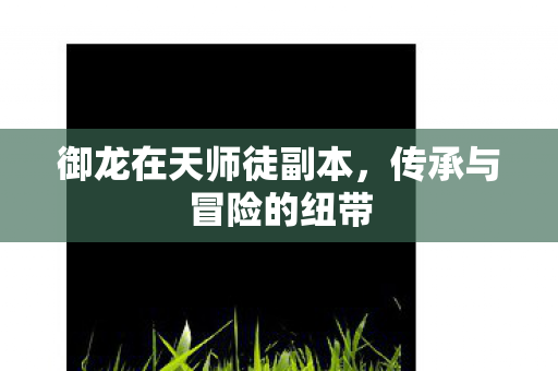 御龙在天师徒副本图片