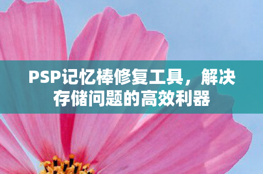 解决存储问题的高效利器图片