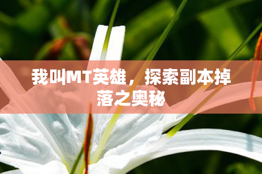 探索副本掉落之奥秘图片