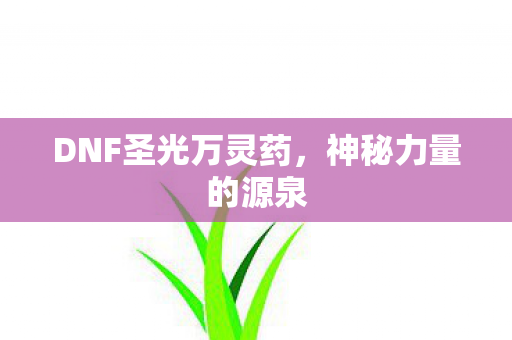 DNF圣光万灵药图片