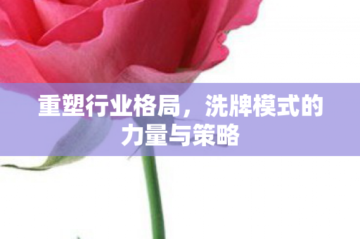 洗牌模式的力量与策略图片